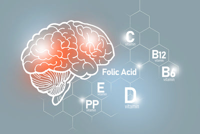 Spotlight On Active Folate