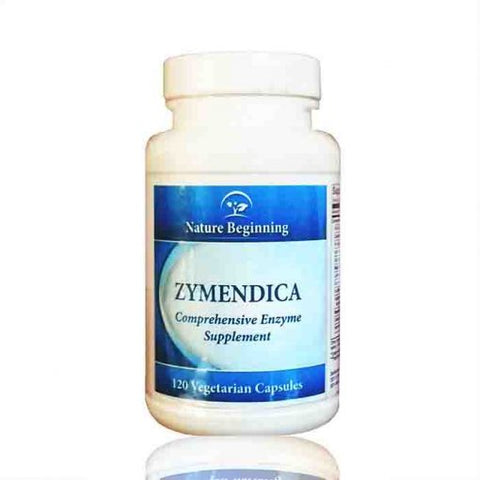 Supplement for Zymendica